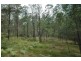 485 Dry Arm Track, Wollombi NSW 2325