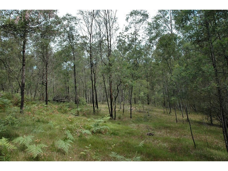 485 Dry Arm Track, Wollombi NSW 2325