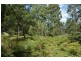 485 Dry Arm Track, Wollombi NSW 2325