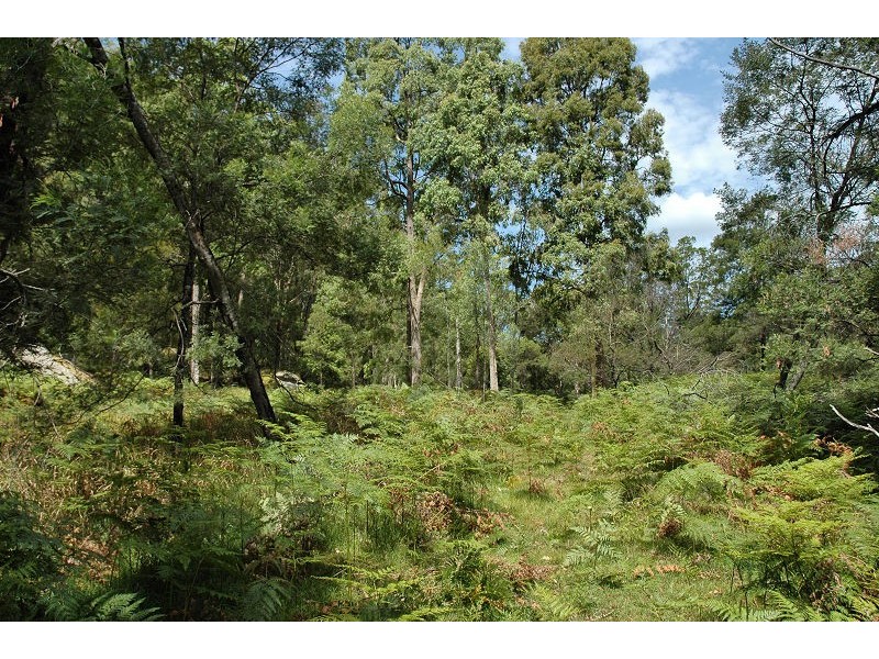 485 Dry Arm Track, Wollombi NSW 2325