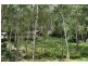 485 Dry Arm Track, Wollombi NSW 2325