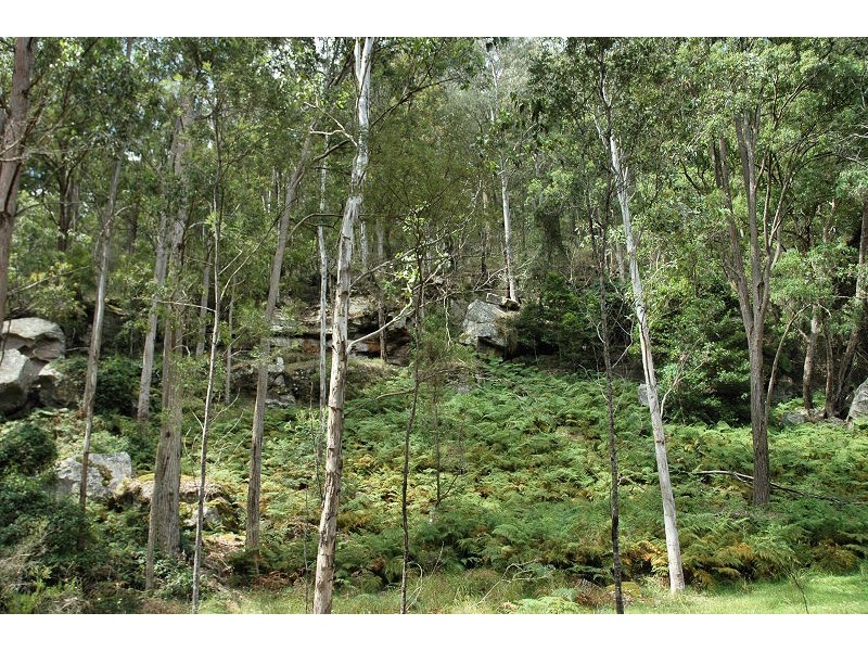 485 Dry Arm Track, Wollombi NSW 2325