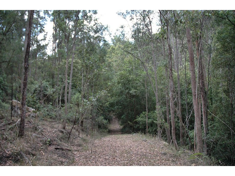 485 Dry Arm Track, Wollombi NSW 2325
