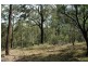 485 Dry Arm Track, Wollombi NSW 2325