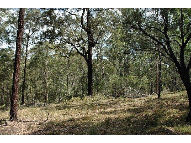 485 Dry Arm Track, Wollombi NSW 2325