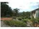 Wollombi NSW 2325