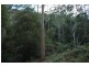 Wollombi NSW 2325