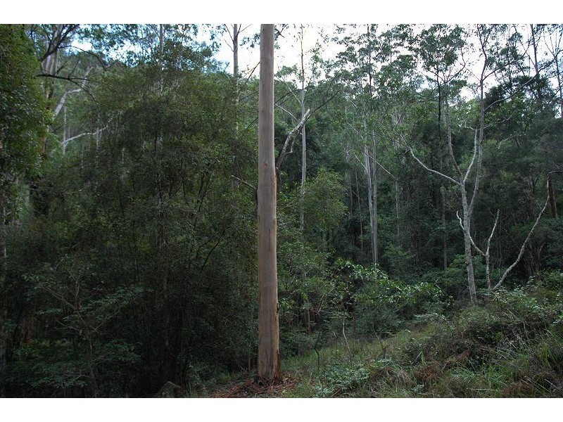 Wollombi NSW 2325
