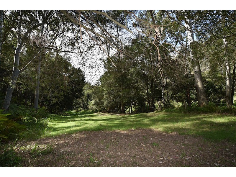 Laguna NSW 2325