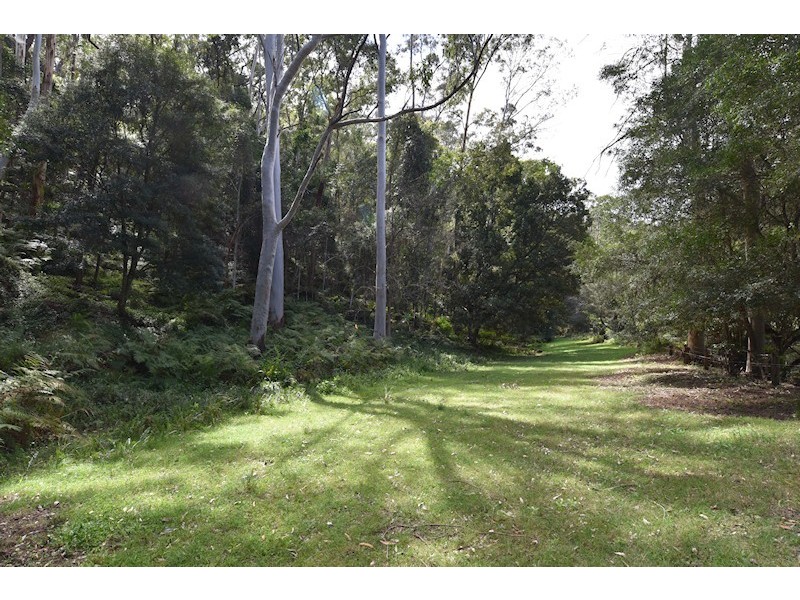 Laguna NSW 2325