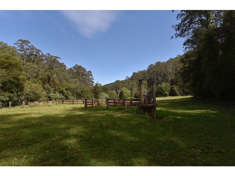 Laguna NSW 2325
