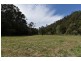 Laguna NSW 2325