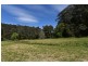 Laguna NSW 2325