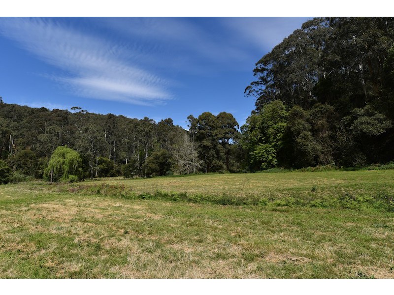 Laguna NSW 2325