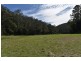 Laguna NSW 2325