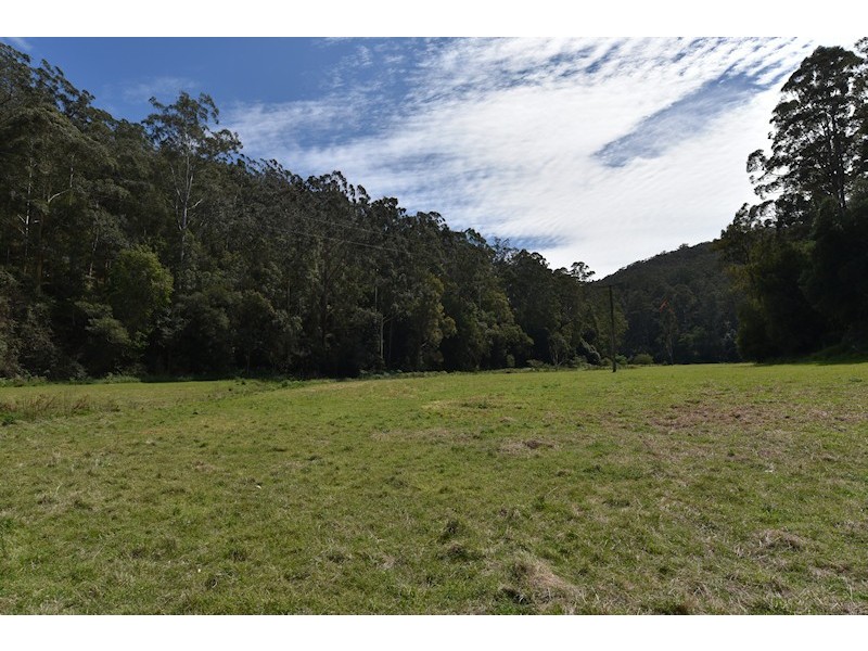 Laguna NSW 2325