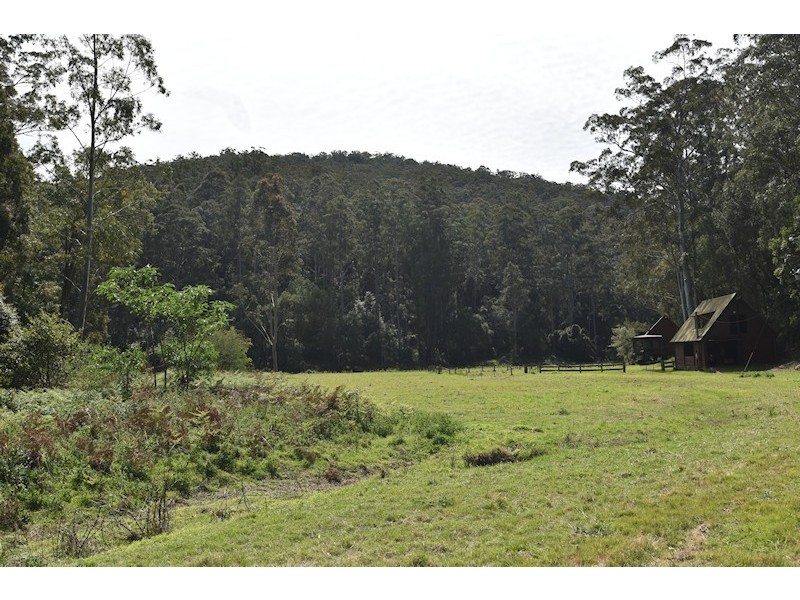 Laguna NSW 2325
