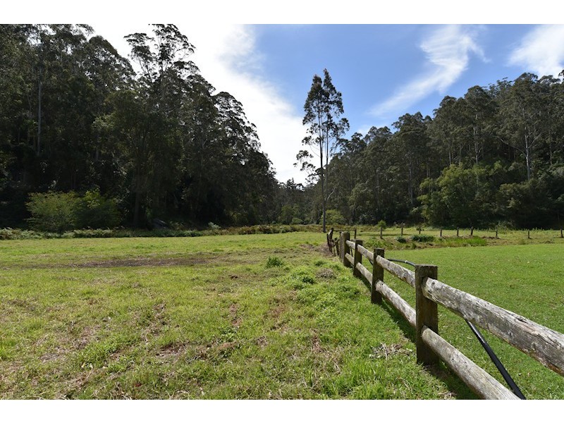 Laguna NSW 2325