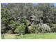 Laguna NSW 2325