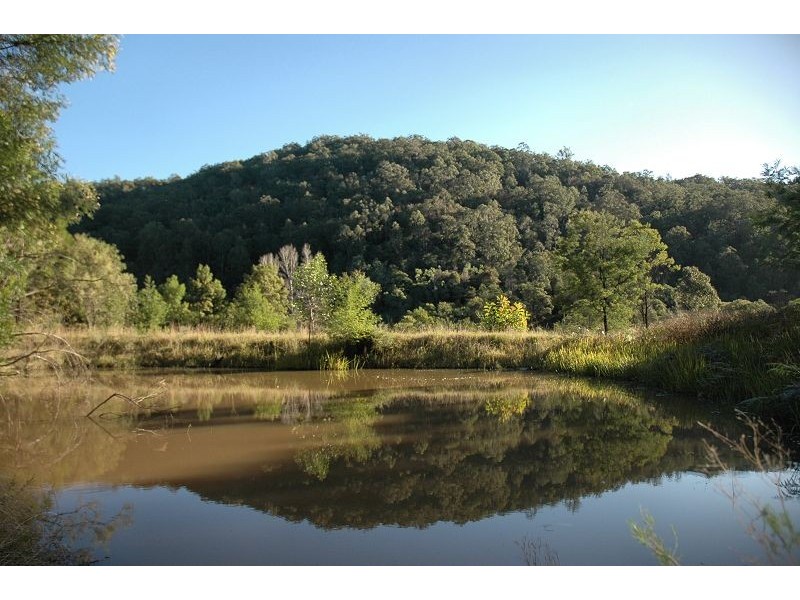 139 Bagnalls Creek Road, Paynes Crossing NSW 2325