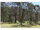 Laguna NSW 2325