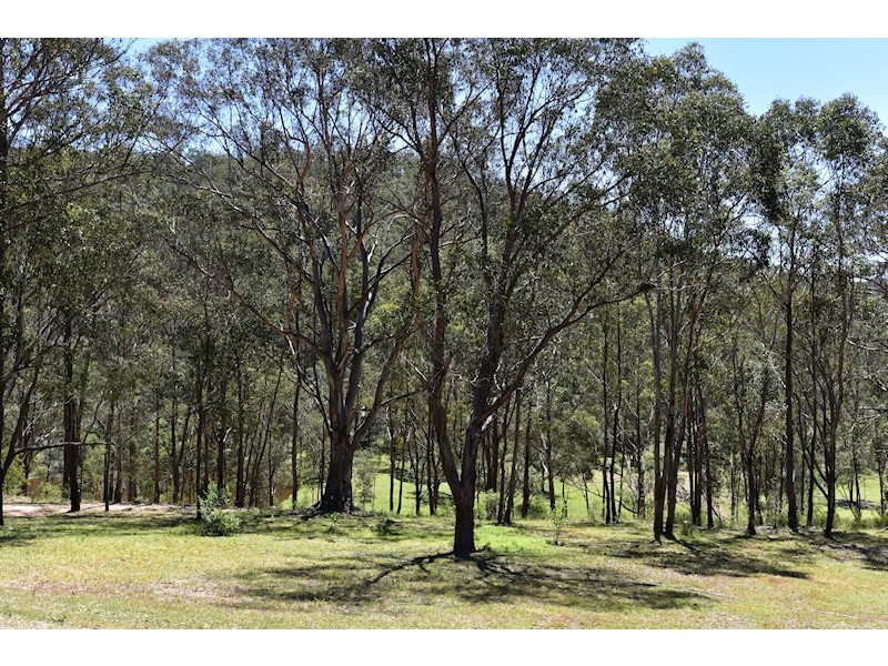 Laguna NSW 2325