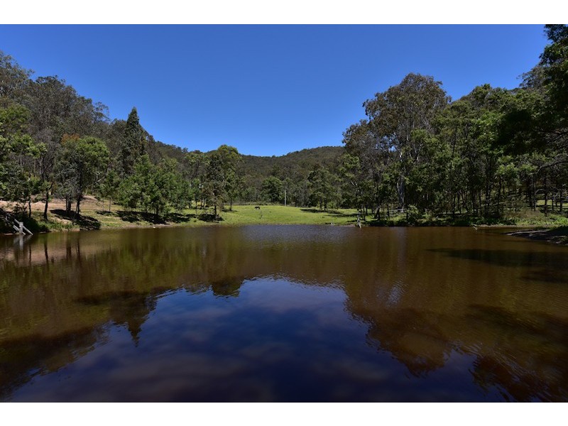 Laguna NSW 2325