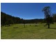 Laguna NSW 2325