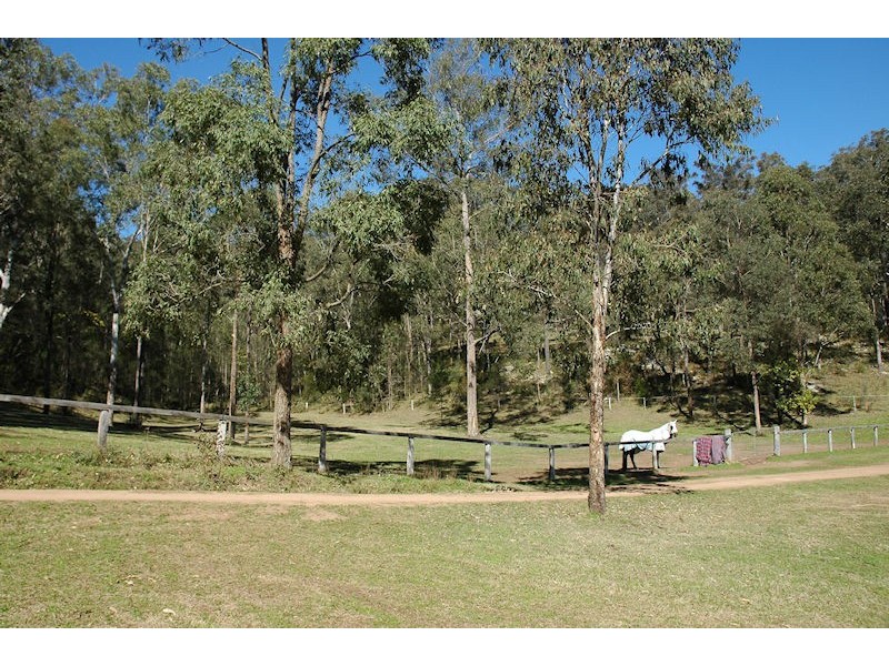 Laguna NSW 2325