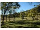 Laguna NSW 2325