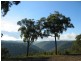Paynes Crossing NSW 2325