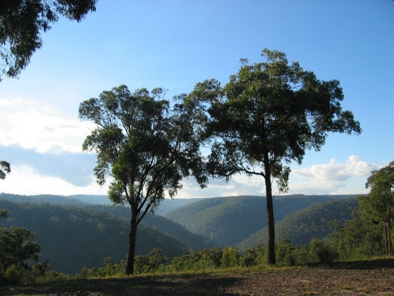 Paynes Crossing NSW 2325
