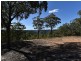 Paynes Crossing NSW 2325