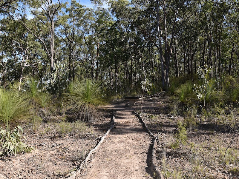 Paynes Crossing NSW 2325