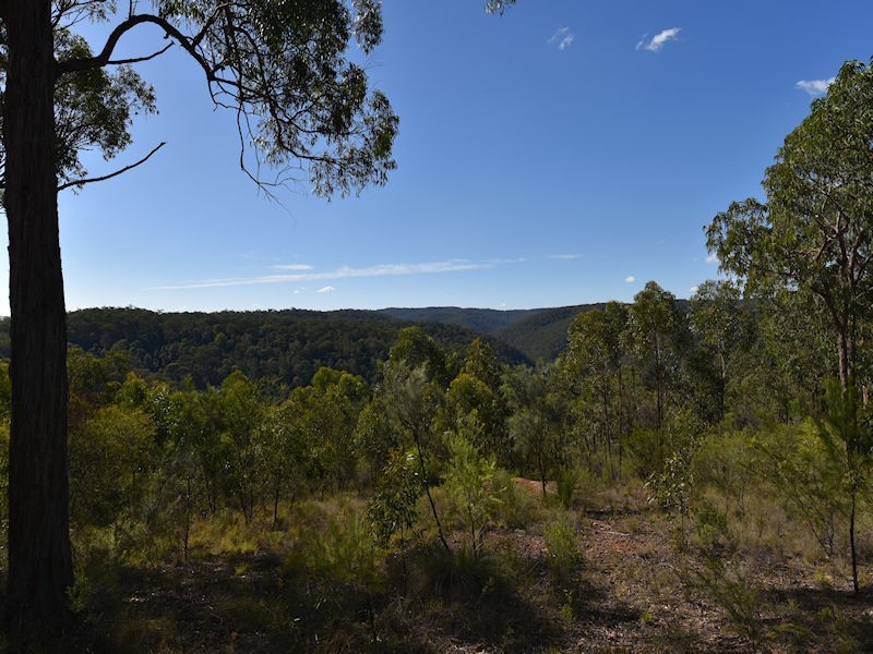 Paynes Crossing NSW 2325