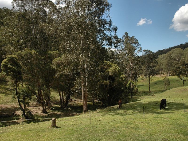 35 Bivens Road, Laguna NSW 2325