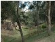 35 Bivens Road, Laguna NSW 2325