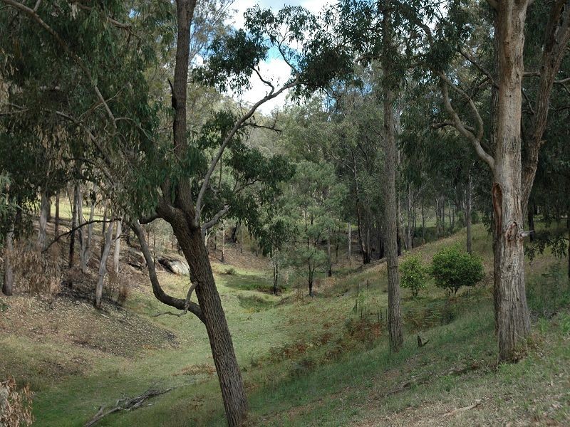 35 Bivens Road, Laguna NSW 2325