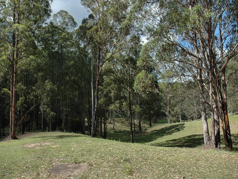 35 Bivens Road, Laguna NSW 2325