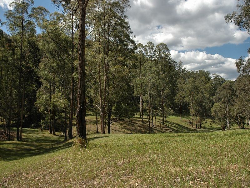 35 Bivens Road, Laguna NSW 2325