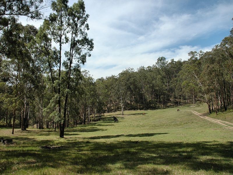 35 Bivens Road, Laguna NSW 2325