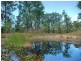 343 Budd Road, Cedar Creek NSW 2325
