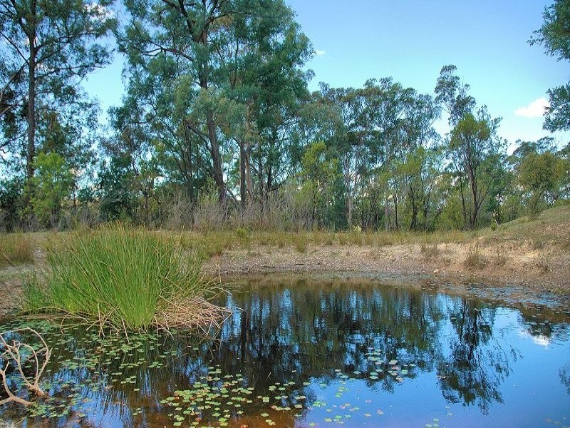 343 Budd Road, Cedar Creek NSW 2325