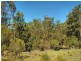 343 Budd Road, Cedar Creek NSW 2325
