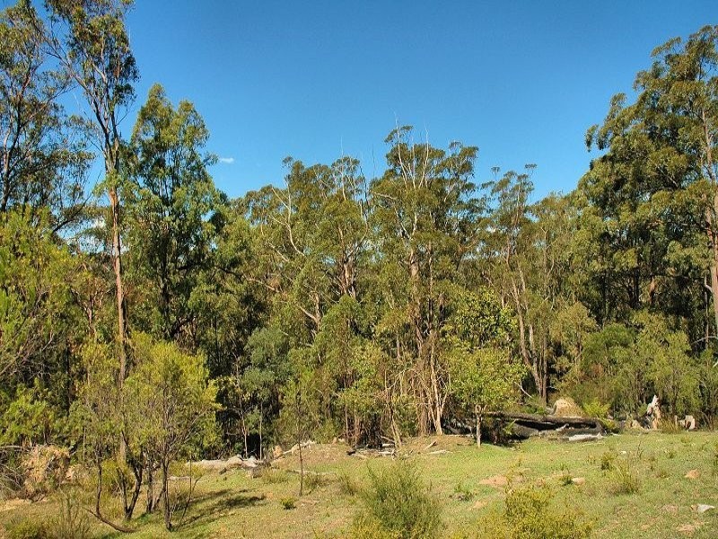 343 Budd Road, Cedar Creek NSW 2325