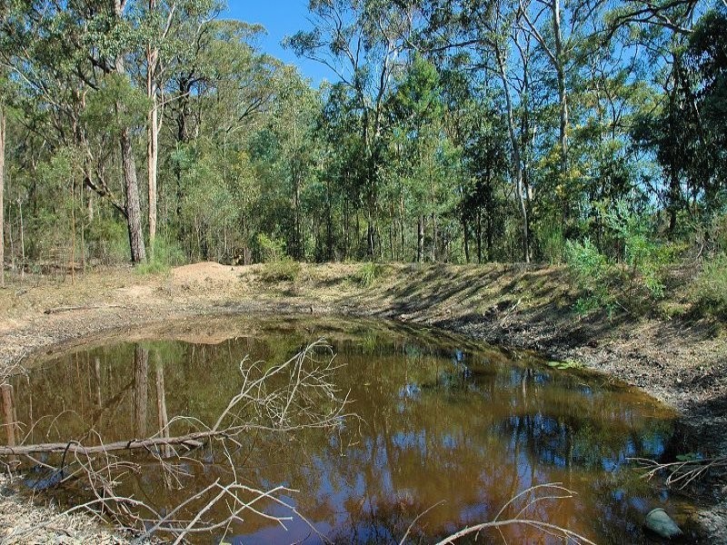 343 Budd Road, Cedar Creek NSW 2325