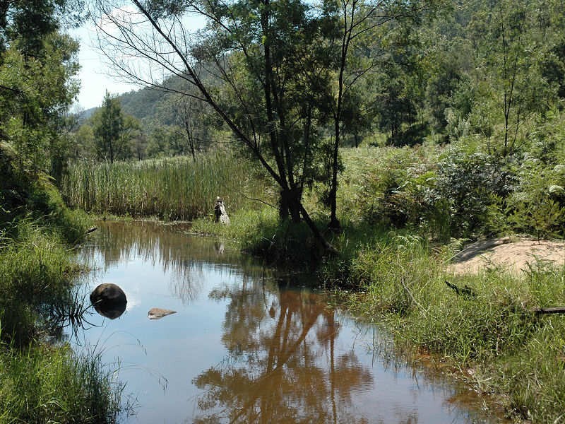 Paynes Crossing NSW 2325