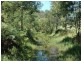 Paynes Crossing NSW 2325