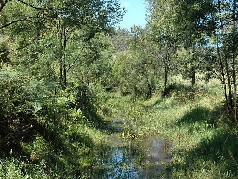 Paynes Crossing NSW 2325