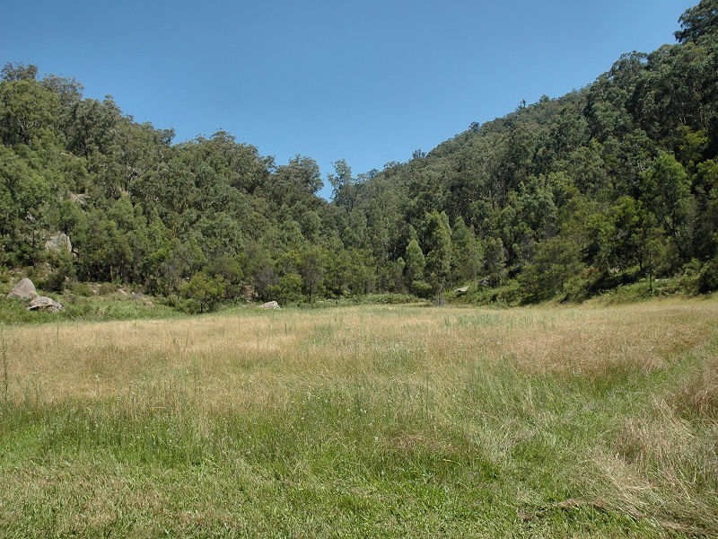 Paynes Crossing NSW 2325